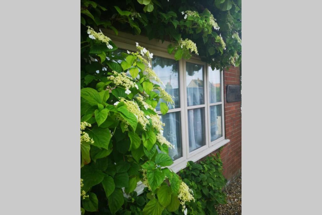 Blakeney Norfolk Bramble Lodge ***Self Catering*** Exteriör bild