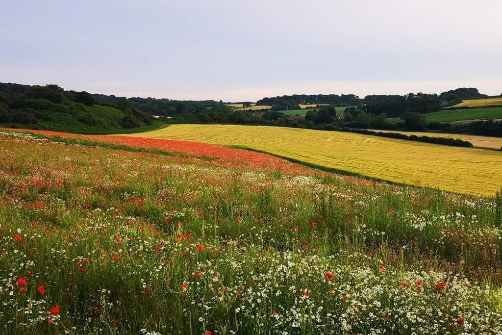 Blakeney Norfolk Bramble Lodge ***Self Catering*** Exteriör bild